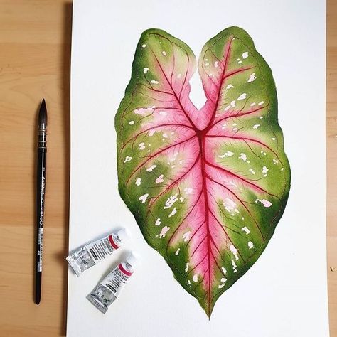 Colored Pencil Plant Drawing, Illustration Botanique, Watercolor Plants, Leaf Drawing, Watercolor Flower Art, Plant Painting, Plant Drawing, Watercolor Art Lessons, Botanical Watercolor