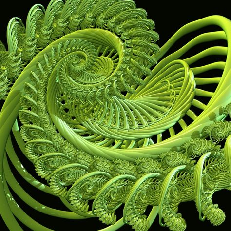 Why Do Mathematics? | Bankwhitt Academy Fractals In Nature, Art In Nature, Spirals In Nature, Geometry In Nature, Ferns Garden, Green Nature, Natural Forms, Patterns In Nature, Green Design