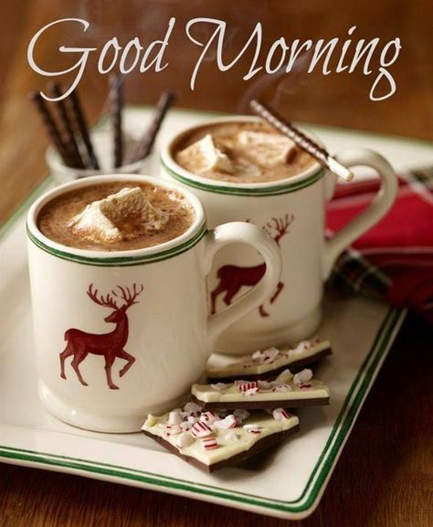 Good Morning quotes quote coffee morning good morning morning quotes good morning quotes morning quote Christmas Backgrounds, Photos Aesthetic, Winter Cocktails, Chocolate Caliente, Peppermint Bark, Noel Christmas, Baby Cold, Christmas Pictures, Christmas Inspiration