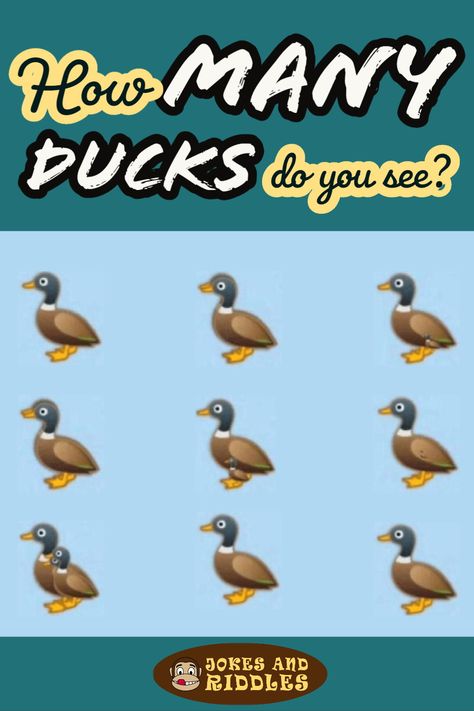 This riddle goes viral on the internet and especially on Facebook. The riddle is as follows: How many ducks you see in this picture? #Riddle #Ducks #Picture #HowMany Picture Riddles With Answers, Picture Puzzles Brain Teasers, Hard Brain Teasers, Number Riddles, Brain Teasers Pictures, Really Hard Riddles, Optical Illusions Pictures, Riddle Pictures, Funny Puzzles