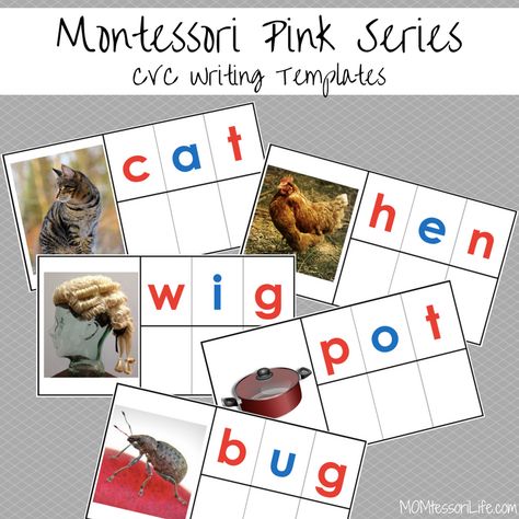 Montessori Pink Series, Food For The Brain, Montessori Projects, Hold A Conversation, Language Activities Preschool, Sandpaper Letters, Montessori Activities Preschool, Cvc Activities, Montessori Printables