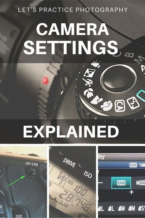 Nikon Manual Mode Camera Settings, Nature, Beginner Photography Camera, Camera Basics, Best Camera For Photography, Digital Photography Lessons, Camera Tricks, Dslr Photography Tips, Photography Settings