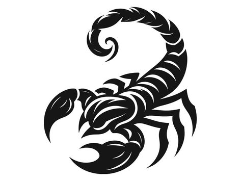 Scorpion Vector, Outline Ideas, Scorpion Logo, Scorpion Tattoos, Free Logo Templates, Scorpion Tattoo, Logo Facebook, Template Png, Word Mark Logo