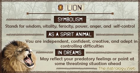 Lion Symbolism Spirit Animal Dream Lioness Spirit Animal, Lion Totem Spirit Animal, Leo Spirit Animal, Archetype Cards, Lion Meaning, Lion Symbolism, Lion Spirit Animal, Animal Totem Spirit Guides, Lion Symbol