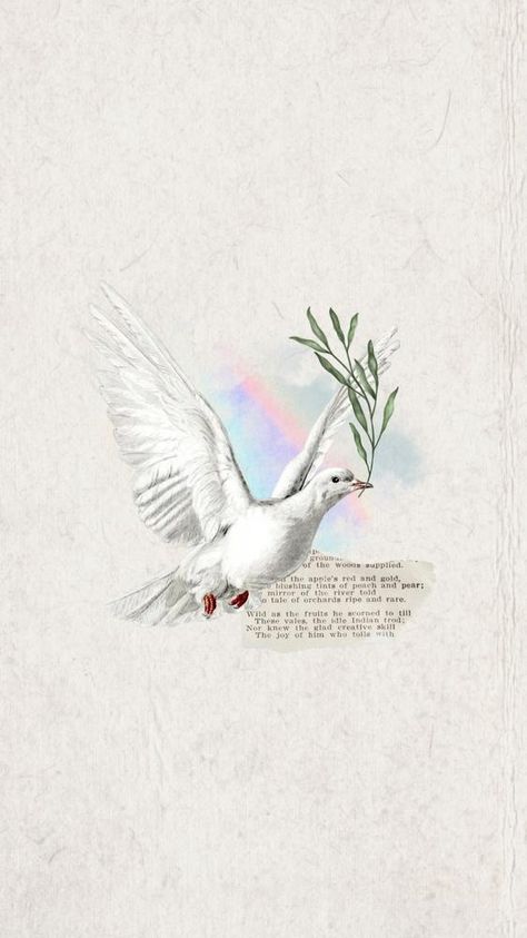 Iphone Wallpaper Birds, Dove Background, Phone Wallpaper Collage, Wallpaper Birds, Random Decor, Flying Dove, Dove Flying, God Is Amazing, Wallpaper Collage