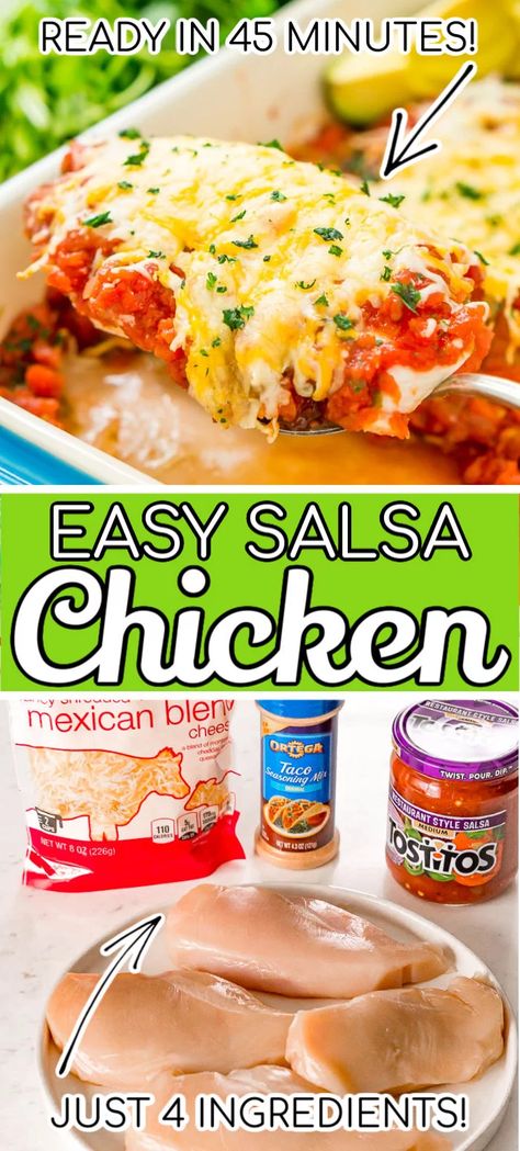 Easy Salsa Chicken, Salsa Chicken Bake, Salsa Chicken Recipe, Chicken Taco Seasoning, Easy Salsa, Salsa Chicken, Chicken Bake, Chicken Taco, Easy Chicken Dinner Recipes