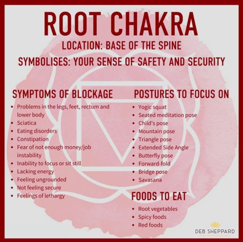 Spiritual Detoxing, Empress Energy, Root Chakra Yoga, Chakras Explained, Chakras For Beginners, Root Chakra Meditation, Reiki Frases, Chakras Crystals, Chakra Locations