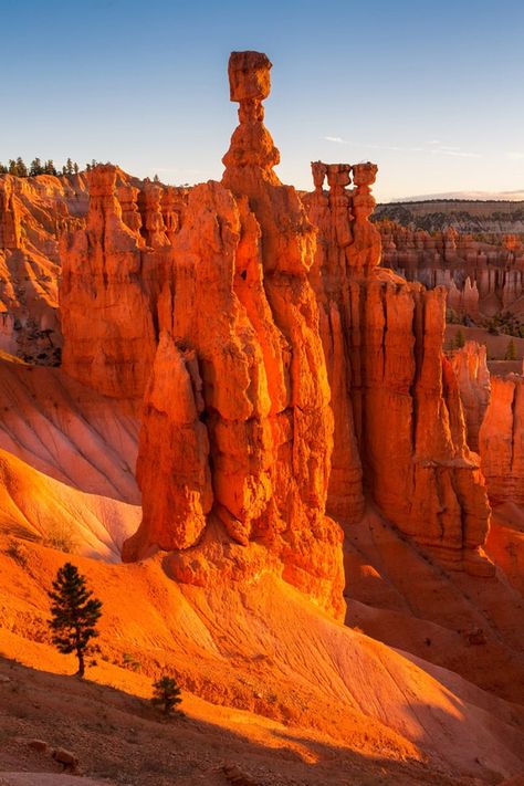 Discover the best things to do in Bryce Canyon National Park. From hoodoos to stargazing and hiking - here’s what not to miss. Thor's Hammer, Utah Photography, Bryce Canyon National Park, Utah National Parks, Bryce Canyon, Rock Formations, Zion National Park, Road Trip Usa, The Shadow