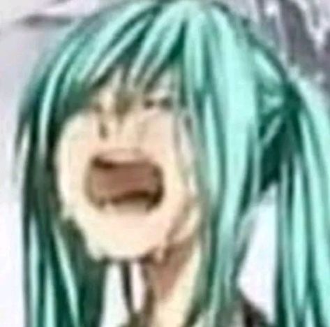 Lol Memes, Rawr Xd, Goofy Pictures, Anime Meme, Silly Pictures, Cute Memes, I Have No Friends, Funny Me, Hatsune Miku