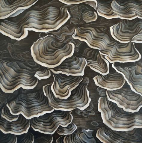 Devan Horton; Painting, “Turkey Tail Mushrooms” #art Fungi Painting, Tree Trunk Painting, Turkey Tail Mushrooms, Textiles Ideas, Mushrooms Art, Turkey Tail Mushroom, Mushroom Paint, Turkey Tail, Nature Projects