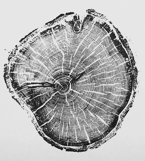 Woodcuts Prints, Tree Rings, 수채화 그림, Grafic Design, Tree Tattoo, Monoprint, Tree Print, Tree Art, Pine Tree