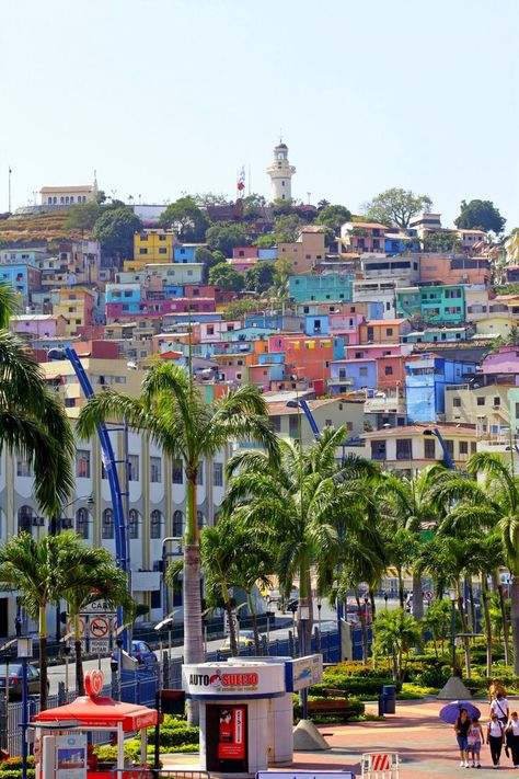 Guayaquil Ecuador Aesthetic, Ecuador Pictures, Ecuador Aesthetic, Ecuador Photography, Travel Ecuador, Travel Honeymoon, Colorful Buildings, Amazing Scenery, Ecuador Travel