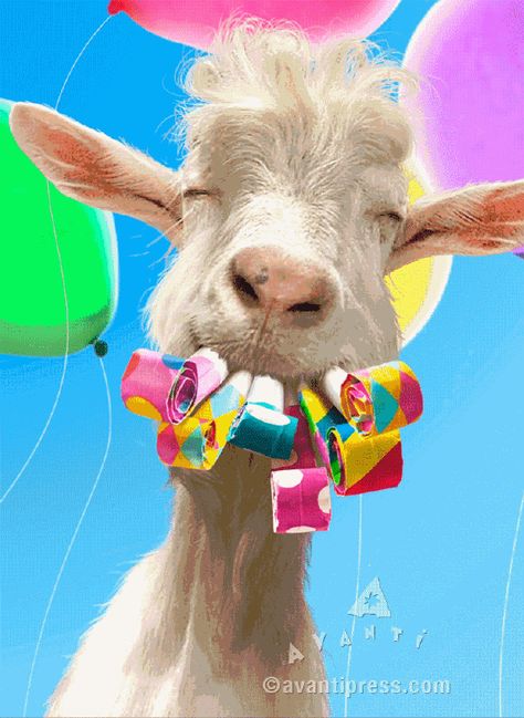 Happy Birthday Goat, Happy Birthday Funny Humorous, Birthday Wishes For Kids, Party Blowers, Birthday Greetings Funny, Happy Birthday Vintage, Birthday Greetings Friend, Make Some Noise, Happy Birthday Art