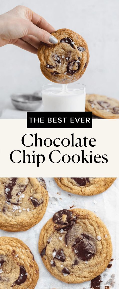 Chewy Chocolate Chip Cookie Recipe, Gourmet Chocolate Chip Cookies, Bakery Chocolate Chip Cookies, Chewy Chocolate Chip Cookies Recipe, The Best Chocolate Chip Cookies, Brown Butter Chocolate Chip Cookies, Broma Bakery, Best Chocolate Chip Cookies, Best Chocolate Chip