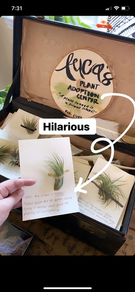 Plant Shower Favors, Back To School Plant Gift, Air Plant Party Favors, Air Plant Favors, Plant Bachelorette Party Ideas, Air Plant Gift Ideas, Plant Baby Shower Favors, Baby Shower Plant Favors, Plant Gender Reveal