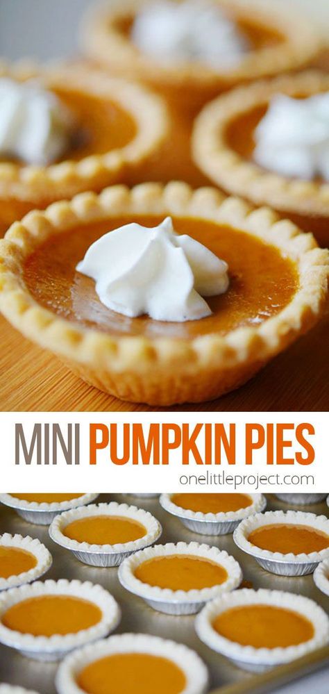 These mini pumpkin pies are way easier than making a pumpkin pie from scratch. Plus you will actually have room to try more than one dessert! Punkin Pie Recipe, Mini Pumpkin Desserts, Mermaid Mansion, Individual Pumpkin Pie, Mini Pumpkin Pies Recipe, Desserts Mini, Yummy Chocolate Desserts, Pumpkin Pie From Scratch, Mini Pie Recipes