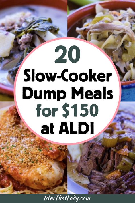 Slow Cooker Dump Meals, Slow Cooker Dump, Crockpot Dump Recipes, Dump Recipes, Frugal Meal Planning, Aldi Meal Plan, Recipes Slow Cooker, Aldi Recipes, Recipes For The Whole Family