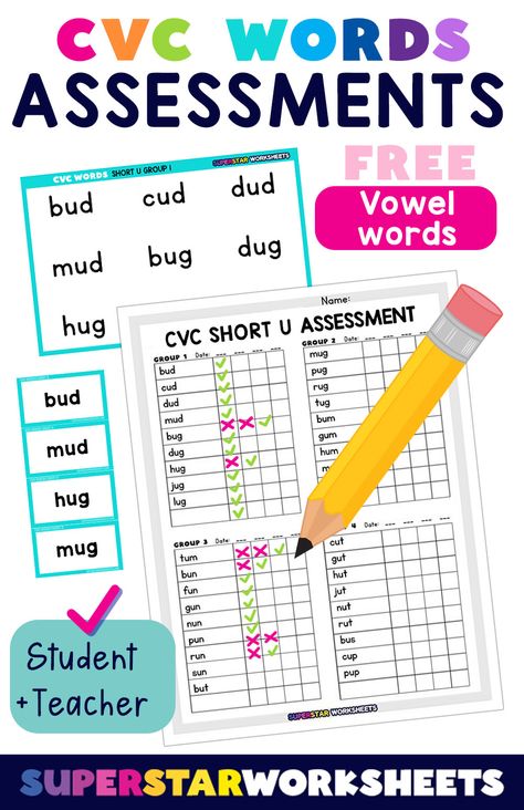 Phonics Assessment Kindergarten, Phonics Assessments, Second Grade Sight Words, Teacher Checklist, Letter Sound Recognition, Assessment Checklist, Kindergarten Assessment, Basic Sight Words, Preschool Sight Words