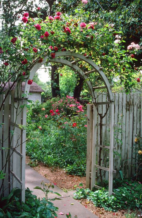 Arbor Gate, Garden Archway, Garden Arch Trellis, The Perfect House, Rose Arbor, The Romantics, Front Yard Fence, Garden Entrance, Landscape Construction