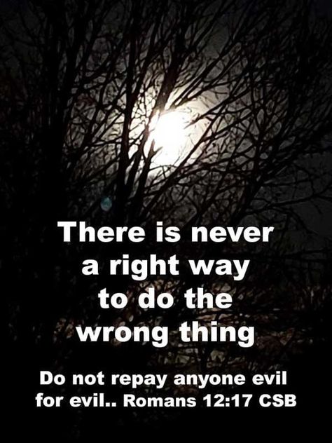 Do Not Repay Evil With Evil, Good Always Wins Over Evil, Overcome Evil With Good Quotes, Romans 12:19 Revenge, Scripture Against Evil, Blessing Words, What Is Evil, Godly Life, Worship The Lord