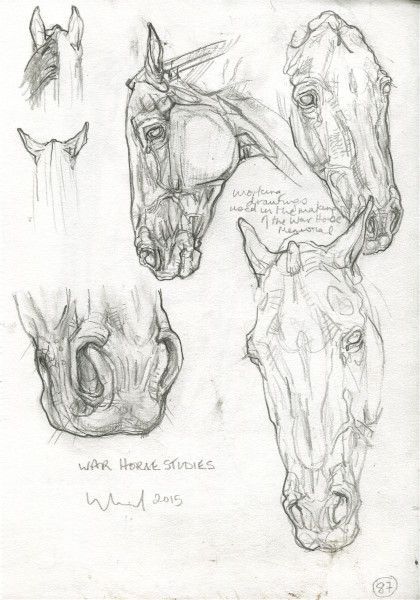 Horses are smart, majestic creatures. Except for the ones that aren't. Twitter user @mckellogs has just posted a thread, portraying the way their family are preparing for the impending snowmageddon, and it's their horse Tango that needs the most attention. Horse Sketch Reference, Horse Reference Drawing, Horse Anatomy Drawing, Animal Art Drawing Sketches, Horse Drawing Reference, Horses Anatomy, Horse Head Sketch, Horses Sketch, Drawings Of Horses