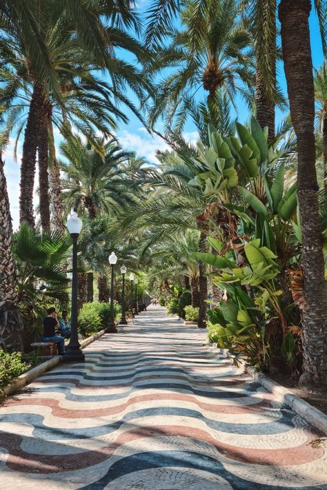 Alicante's stunning Explanada de España promenade with its iconic wave mosaic floor. Spanish Beach, Spanish Lifestyle, Spanish Summer, Alicante Aesthetic, Alicante Spain Aesthetic, Spain Seaside, Alicante Beach, Spain Alicante, Alicante Spain Beach