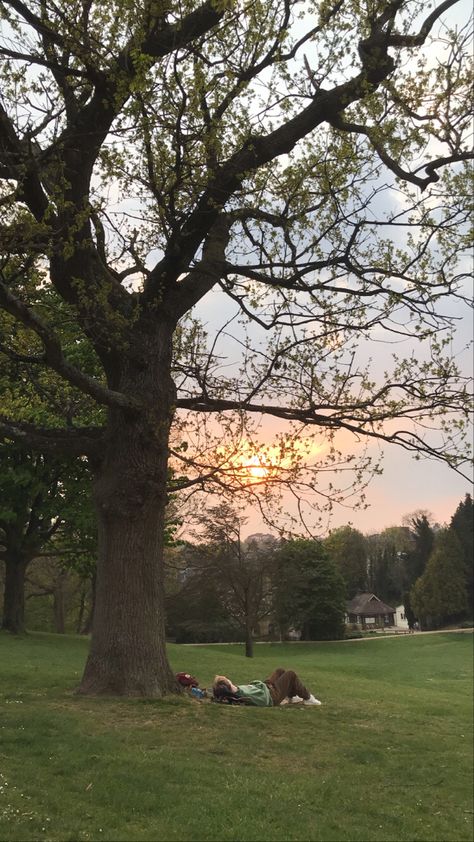 Big Trees Aesthetic, Lying In A Field Aesthetic, Sitting Under A Tree Aesthetic, Reading In The Grass Aesthetic, Lying In Grass Aesthetic, Reading Under A Tree Aesthetic, Under A Tree Aesthetic, Big Tree Aesthetic, Laying In Grass Aesthetic