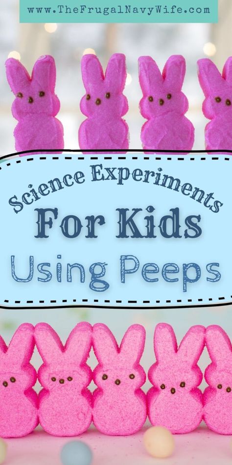 Peeps. Either you love them or hate them. Me? Only chocolate covered! But I love them for science experiments for my kids! #scienceforkids #FrugalNavyWife #homeschooling #homeschool Peeps Science Experiment, Easter Science Experiments, Fun Science Experiments For Kids, Easter Stem, Easter Science, Halloween Peeps, Fun Science Experiments, Science Kids, Science Experiments For Kids