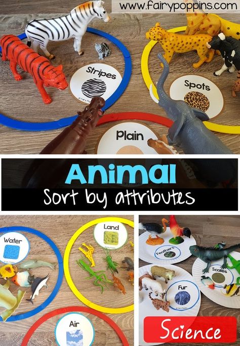 Animal sort and classify labels, mats and worksheet activities ~ Fairy Poppins Fairy Poppins, Zoo Animals Preschool, Jungle Activities, Zoo Preschool, Animals Activities, Zoo Activities, Animal Activities For Kids, Dear Zoo, Eyfs Activities