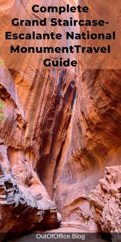 Make the most of your trip to Grand Staircase-Escalante National Monument with this ultimate travel guide for first timers. Plan your visit including when to visit, where to stay, what to eat, things to do, best tours, top attractions. #GrandStaircaseEscalanteNationalMonument | Burr Trail | Devil’s Garden | Grosvenor Arch | Hell's Backbone | Singing Canyon | Long Canyon | Cedar Wash Arch | Escalante Natural Bridge | Lower Half Calf Creek Falls | Cosmic Ashtray | Zebra Slot Wild Landscape, Slot Canyons, Grand Staircase Escalante, Escalante National Monument, Travel Secrets, Natural Bridge, Travel Blogging, Road Trip Hacks, National Parks Trip