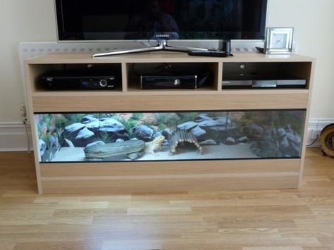 Tv Stand Snake Tank, Stacked Reptile Enclosure, Aquarium Under Tv, Turquoise Cottage, Fish Tank Stand, Snake Tank, Under Tv, Workbench Plans Diy, Reptile Room