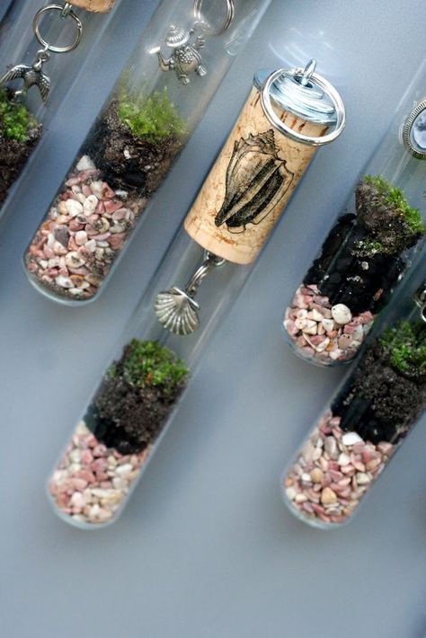 Tube Terrarium, Test Tube Crafts, Tiny Terrarium, Recycled Wine Corks, Mini Terrarium, Test Tubes, Happy Earth Day, File Cabinets, Terrarium Diy