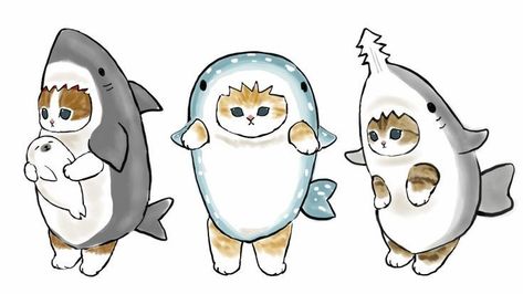 Cat In Shark Costume Drawing, Cat In Costume Drawing, Fotografi Fesyen, Mofu Sand, Cute Cat Costumes, Cat Shark, Shark Costumes, Kitten Drawing, Cat Drawings