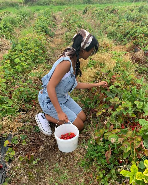 Picking Berries Aesthetic, Picking Strawberries Aesthetic, Berry Picking Photoshoot, Farmer Coquette, Strawberry Farm Aesthetic, Berry Farm Aesthetic, Fruit Picking Aesthetic, Berry Picking Aesthetic, Berry Picking Outfit