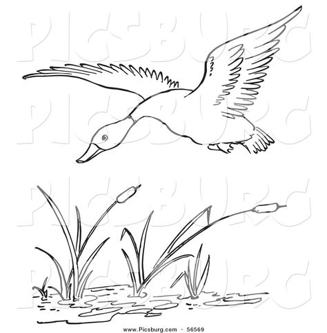 Printable Black and White Art | Clip Art of a Duck Flying over a Pond - Black and White Line Art by ... Duck Flying, Flying Duck, Wood Burning Stencils, Duck Drawing, Printable Black And White, Black And White Line Art, Parrots Art, White Line Art, Scroll Saw Patterns Free