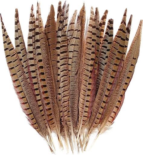 Amazon.com : Pheasant Feathers Wedding Party Centerpieces, Home Wedding Party, Pheasant Feather, Feather Duster, Rooster Feathers, Pheasant Feathers, Diy Hat, Crafts Home, Tail Feathers