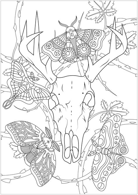 Moth Colouring Page, Creepy Coloring Pages For Adults, Creepy Coloring Pages Free Printable, Lineart Coloring Pages, Dark Coloring Pages, Adult Colouring Printables Free, Moth Coloring Page, Tattoo Coloring Pages For Adults, Goth Coloring Pages