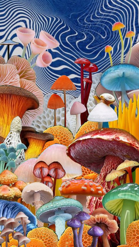 #mushrooms #psychadelic #trippyshuffle #fungi #fungus #fungusamongus #chillvibes #openyourmind #aesthetic #moodboard Mushroom Collage Art, Magic Mushroom Illustration, Psychodelisch Art, Colorful Mushroom Art, Mushrooms Wallpaper, Mushroom Background, Fungi Art, Mushroom Wallpaper, Psychadelic Art