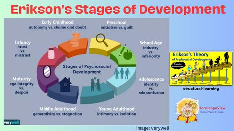 Erik Erikson was a psychologist who developed one of the most popular and influential developmental theories. Although his theory was influenced by the work of psychoanalyst Sigmund Freud/s, Erikson's theory focused on psychosocial rather than psychosexual development. His theory consists of the following stages: Erikson Theory, Developmental Theories, Eriksons Stages Of Development, Erikson Stages, Middle Adulthood, Stages Of Psychosocial Development, Psychosocial Development, Erik Erikson, Stages Of Development