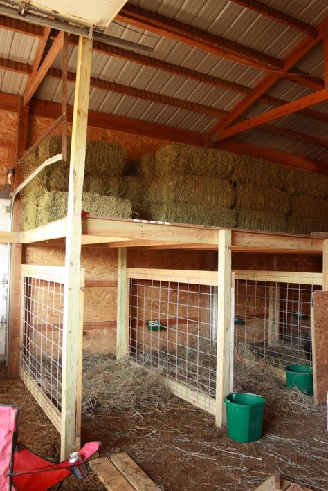 Kinder® Communique': Building pens Goat Shed, Goat Pen, Goat Shelter, Hay Storage, Barn Stalls, Goat House, Goat Care, Goat Barn, Raising Goats