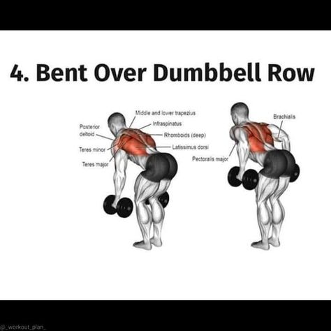 fitness training Athlete Diet, Dumbbell Row, Latissimus Dorsi, Diet Exercise, Back Day, Dumbbell Workout, Back Exercises, Upper Body Workout, Perfect Body