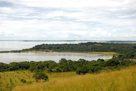 Africa Lake Victoria. Lake Victoria in Uganda East Africa ssese island travel is , #Sponsored, #Victoria, #Uganda, #Africa, #Lake, #East #ad Victoria Lake, Uganda Africa, Lake Victoria, Travel Island, Life Image, Island Travel, Ideas Creative, Design Display, East Africa