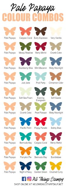 Stampin Up In Colors 2021 colour combinations Pale Papaya Peacock Colour, Colour Codes, Peacock Color, Colour Combos, Colour Inspiration, Color Palate, Colour Combinations, Coordinating Colors, Color Combo