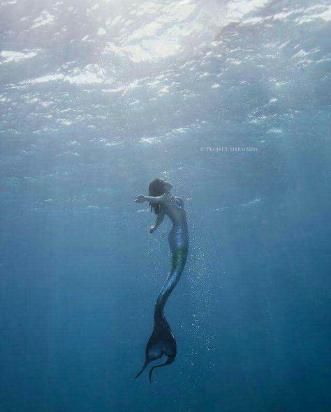 SIRENA Mermaid Photography, Hans Christian Anderson, Mermaid Swimming, Real Mermaids, Mermaid Pictures, Fantasy Magic, Mermaid Aesthetic, Mermaid Dreams, Mermaids And Mermen