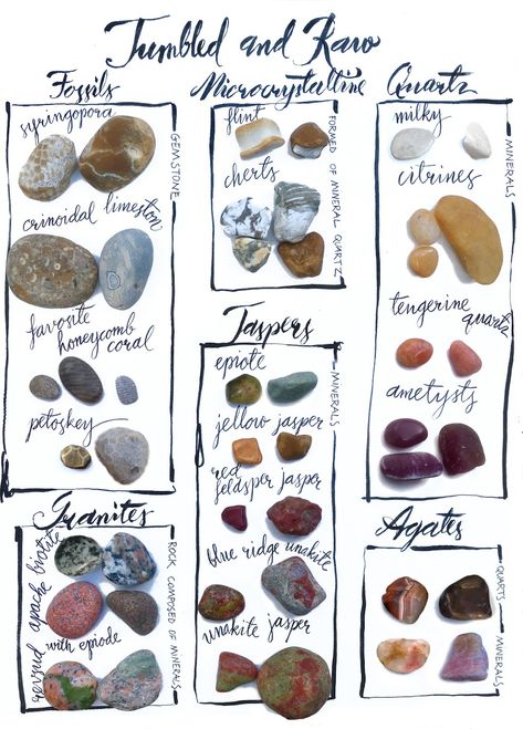 I am new to collecting rocks, so I created a chart of Before and After Tumbling to understand what I am looking for next time I am at the beach.  Before and after tumbling Tumbled Raw Tumbled and Row Great Lakes Michigan Lake Polished rocks Fossils Microcrystalline  Quartz Granite Jasper Agate syringoproa Crinoidal limeston Favorite honeycomb coral Petoskey stone Biotite Granate Apache pink granite Revised with episode Flint Chert Mineral Gemstone Epitome Yellow jasper Red feldspar jasper Blue Beach Rock Identification, Michigan Rock Identification, Lake Michigan Rocks Identification, Agate Identification Chart, Lake Michigan Rocks, Raw Agate Rocks, Lake Superior Rocks Identification, Michigan Rocks Hunting, What To Do With Tumbled Rocks