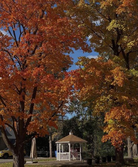 4pm Aesthetic, Autumn Nostalgia, Romanticizing Fall, Sunglasses Emoji, Autumn Moodboard, Terrence Loves You, Gilmore Girls Seasons, Gilmore Girl, Lorelai Gilmore