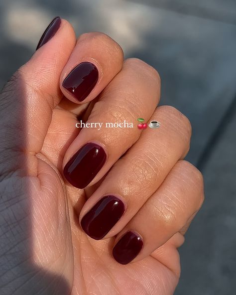 Fall nail inspo: save this for your next nail appointment 🍂💅🏽 #nails #fall #nailinspo #nailsofinstagram #nail Short Nails Ideas Neutral, Simple Gel Nails Winter, Fall Winter Nails Short, Nov Nails 2024, Dip Nails Squoval, Plain Gel Nail Ideas, Classy Squoval Nails, Short Fall Nail Inspo 2024, Fall Gel Nails Short Square