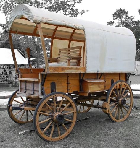 Old Covered Wagon by Philip Molyneux Old Transportation, Western Wagon, Covered Wagons, Old West Town, Horse Wagon, Wagon Wheels, Horse Drawn Wagon, Wagon Cart, Old Wagons