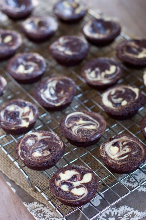 Brownie Cheesecake Bites, Two Bite Brownies, Chocolate Swirl Cheesecake, Mini Brownie Bites, Cheesecake Swirl Brownies, Cheesecake Bites Recipe, Swirl Cupcakes, Cheesecake Brownie, Cream Cheese Brownies