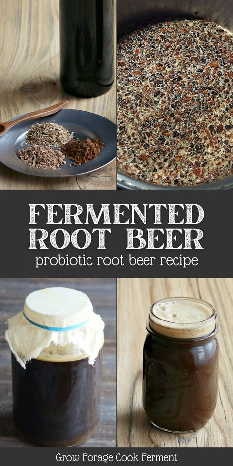 Fermented Soda, Homemade Root Beer, Root Beer Recipe, Homemade Rootbeer, Ginger Bug, Beer Recipe, Drink Syrups, Homemade Soda, Fermentation Recipes